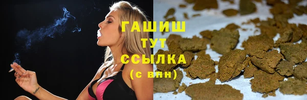 прущие грибы Беломорск