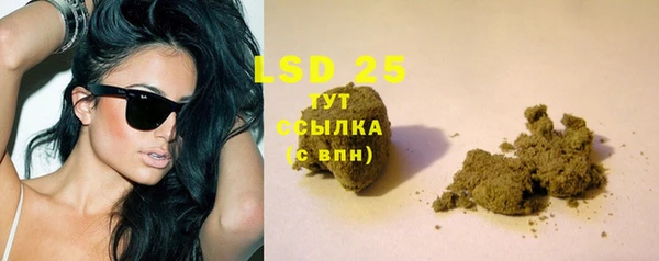 прущие грибы Белоозёрский