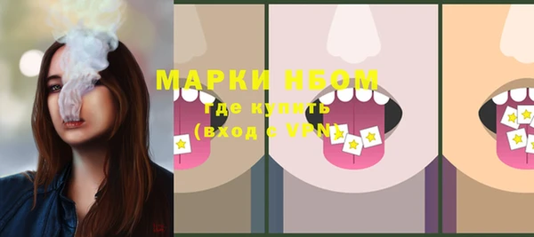прущие грибы Беломорск