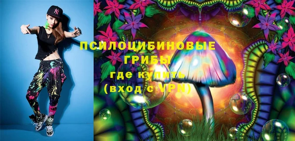 прущие грибы Белоозёрский