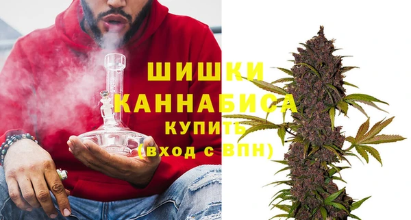 метадон Белокуриха
