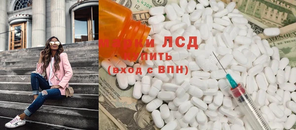 прущие грибы Беломорск