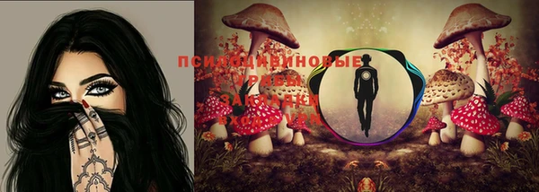 прущие грибы Белоозёрский