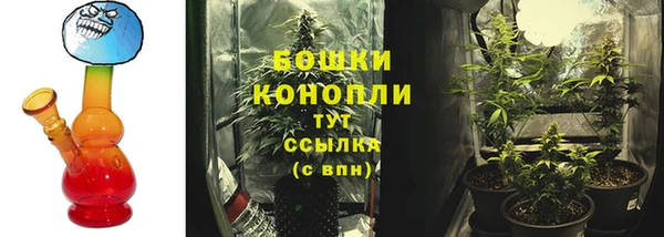 прущие грибы Беломорск
